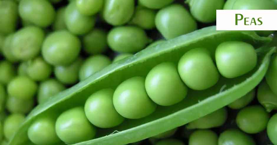 7 Healthiest Beans and Legumes you should be Eating