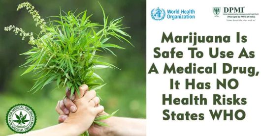Marijuana Is Safe To Use As A Medical Drug, It Has NO Health Risks States WHO