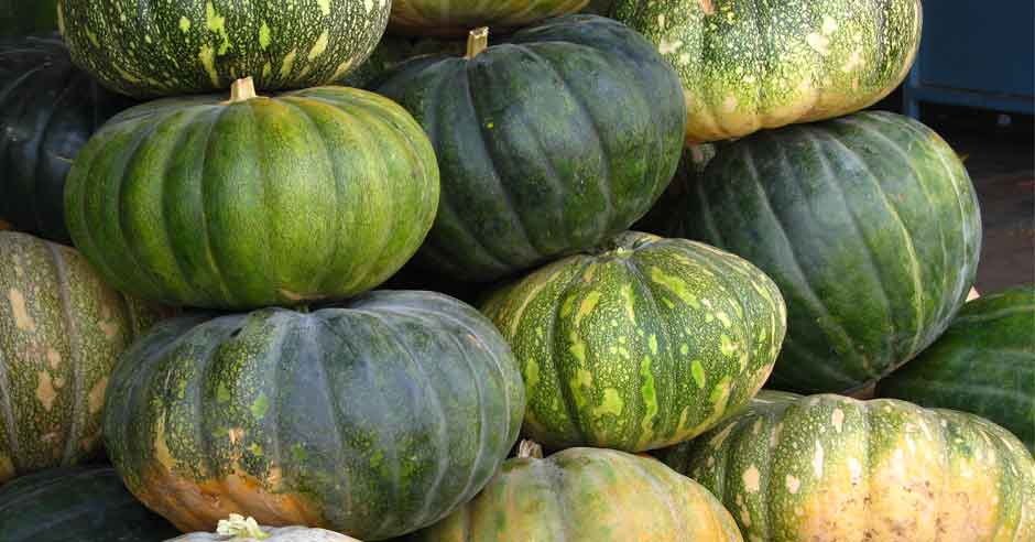 World Obesity Day - 2017: 10 Foods to help prevent Obesity