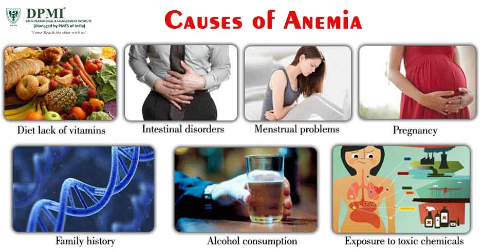 Why does India Have The Maximum Number Of Anemic Women In The World?
