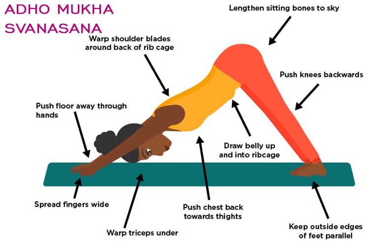 Regular Practice of Yoga can Slow Down your Brain's Ageing Process